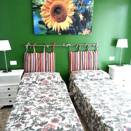 Michelangelo 卡塔尼亚